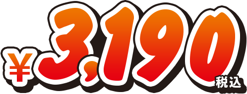 3,190円（税込）