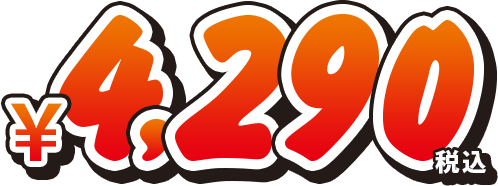 4,290円（税込）