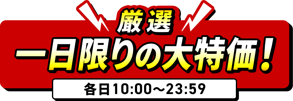 厳選！一日限りの大特価！