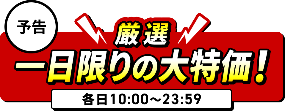 厳選！一日限りの大特価！