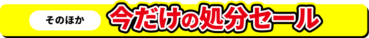 今だけの処分セール